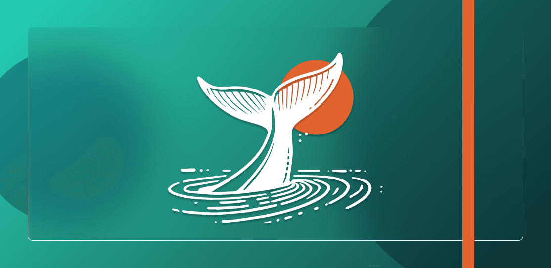 وال‌های رمزارز؛ سرمایه‌گذاران بزرگ و غول‌های پنهان بازار دیجیتال